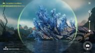 Take a photo of the flower tree in the middle of the lake (Image via Kuro Games)